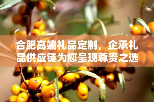合肥高端礼品定制，企承礼品供应链为您呈现尊贵之选