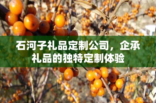 石河子礼品定制公司，企承礼品的独特定制体验