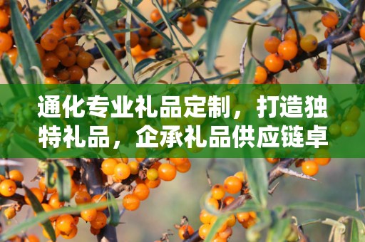 通化专业礼品定制，打造独特礼品，企承礼品供应链卓越服务